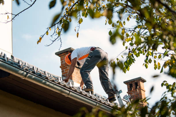 Best Best Roofing Contractors  in Moyie Springs, ID