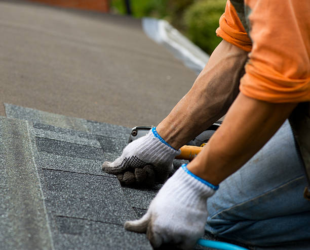 Roof Gutter Cleaning in Moyie Springs, ID